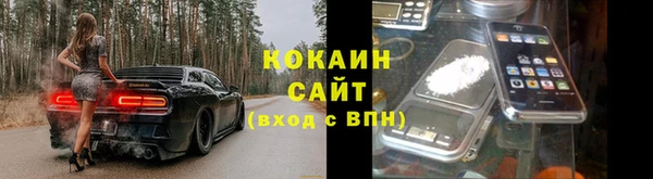 ПСИЛОЦИБИНОВЫЕ ГРИБЫ Алексин