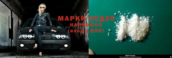 прущие грибы Абинск
