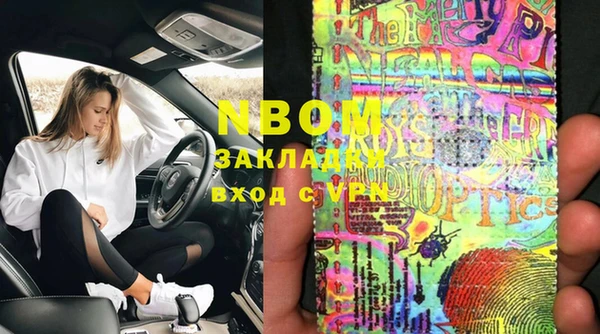 прущие грибы Абинск