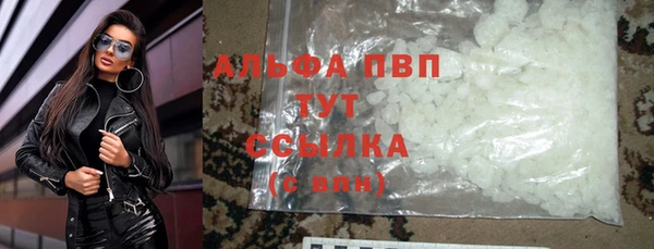 прущие грибы Абинск